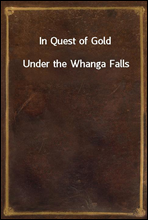 In Quest of Gold
Under the Whanga Falls