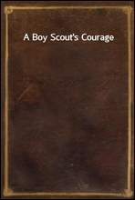 A Boy Scout`s Courage