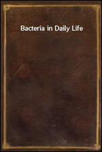 Bacteria in Daily Life