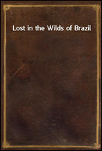 Lost in the Wilds of Brazil