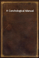 A Conchological Manual