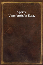 Sphinx Vespiformis
An Essay