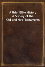 A Brief Bible History
A Survey of the Old and New Testaments