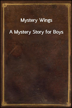 Mystery Wings
A Mystery Story for Boys