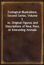 Zoological Illustrations, Second Series, Volume 1
or, Original Figures and Descriptions of New, Rare, or Interesting Animals