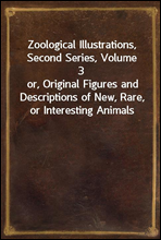 Zoological Illustrations, Second Series, Volume 3
or, Original Figures and Descriptions of New, Rare, or Interesting Animals