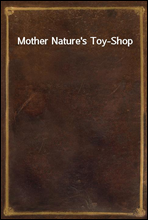 Mother Nature`s Toy-Shop