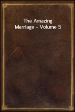 The Amazing Marriage - Volume 5