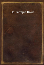 Up Terrapin River