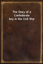 The Story of a Confederate boy in the Civil War