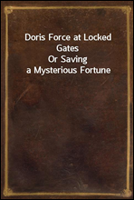 Doris Force at Locked Gates
Or Saving a Mysterious Fortune