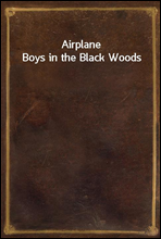 Airplane Boys in the Black Woods