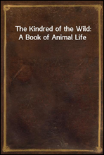 The Kindred of the Wild