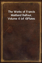 The Works of Francis Maitland Balfour, Volume 4 (of 4)
Plates