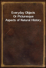 Everyday Objects
Or Picturesque Aspects of Natural History.