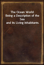 The Ocean World