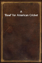 A `Bawl` for American Cricket