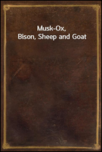 Musk-Ox, Bison, Sheep and Goat