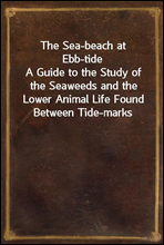 The Sea-beach at Ebb-tide
A Guide to the Study of the Seaweeds and the Lower Animal Life Found Between Tide-marks