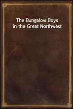 The Bungalow Boys in the Great Northwest