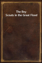 The Boy Scouts in the Great Flood