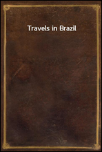 Travels in Brazil