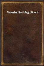 Galusha the Magnificent