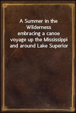 A Summer in the Wilderness
embracing a canoe voyage up the Mississippi and around Lake Superior