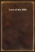 Love of the Wild