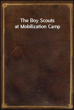 The Boy Scouts at Mobilization Camp