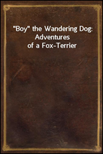 Boy the Wandering Dog