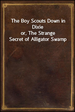 The Boy Scouts Down in Dixie
or, The Strange Secret of Alligator Swamp