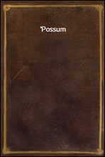 Possum