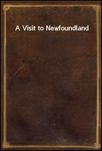 A Visit to Newfoundland