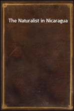 The Naturalist in Nicaragua