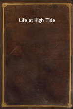 Life at High Tide