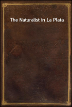 The Naturalist in La Plata